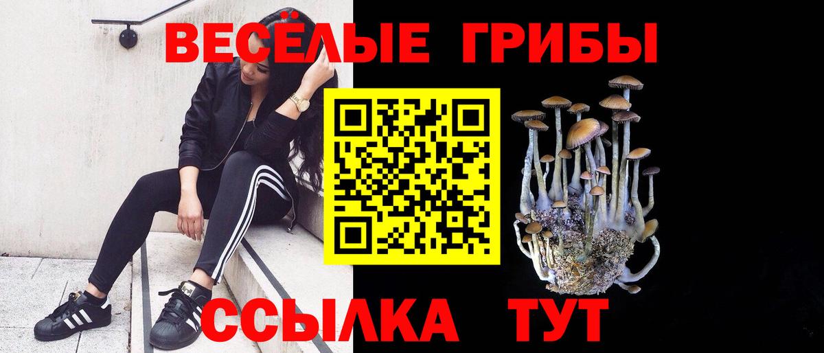 Галлюциногенные грибы Psilocybe Протвино