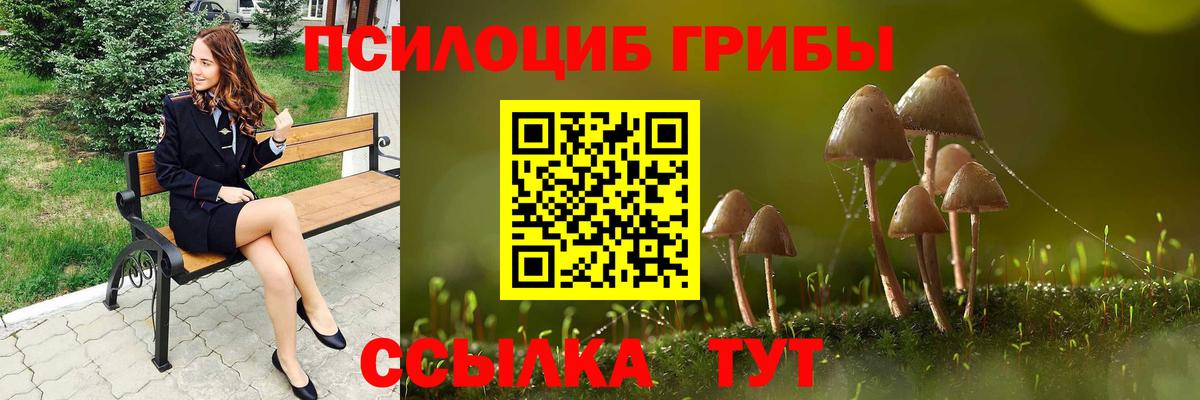 Псилоцибиновые грибы Cubensis  Вход с VPN  Протвино 